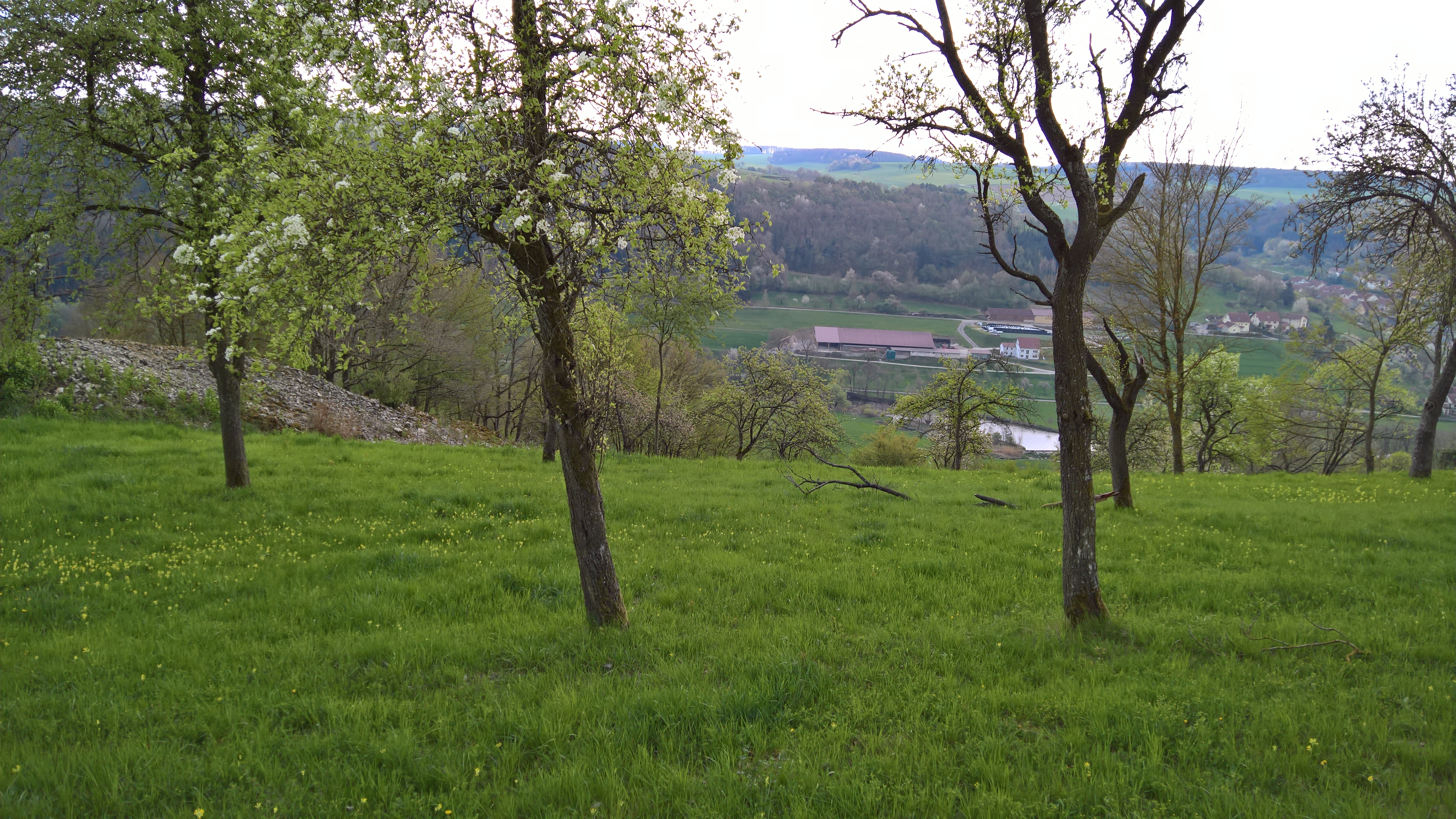 <h2>Da wo die Welt noch in Ordnung ist...</h2><p>...im Jagsttal.</p><a href='https://www.erlebnis-mittleres-jagsttal.de/' target='_blank'>Erlebnis Mittleres Jagsttal </a>