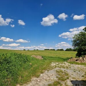 Ackerland_angrenzend