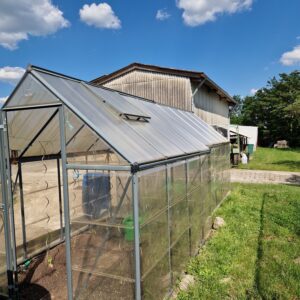 Gewächshaus2